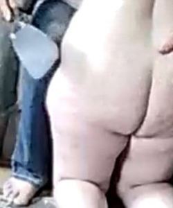 Kelev at APClips.com