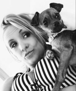 Kittensub at APClips.com