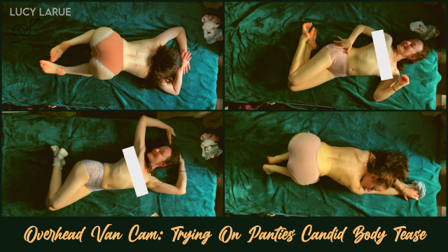 Overhead Van Cam Trying On Panties Candid Body Tease video from Lucy LaRue