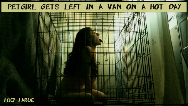 Petgirl Gets Left In A Van On A Hot Day video from Lucy LaRue