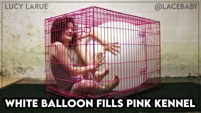 White Balloon Fills Pink Kennel