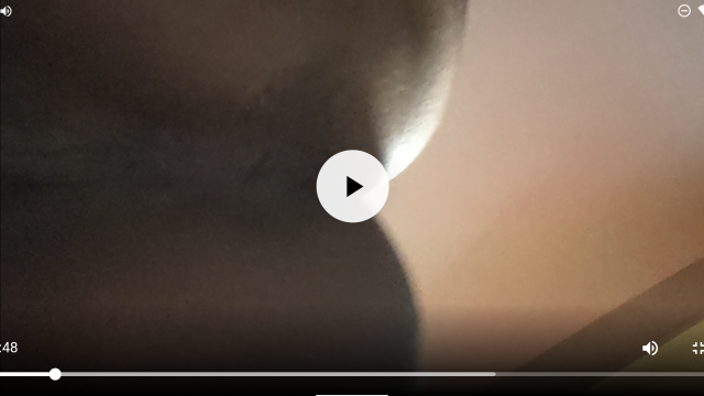 Get Down And Worship This Asshole video from Lady Chaos