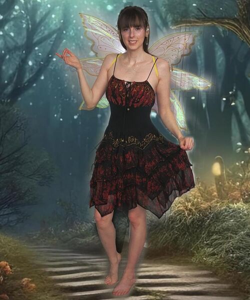 Lex Vive contest photo