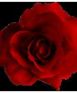 Lia Fox at APClips.com