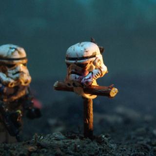 Live Demo Model photo