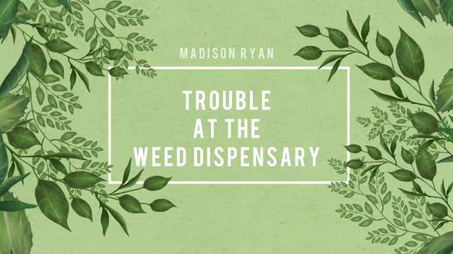 Used and Degraded at the Dispensary video from Madison Ryan