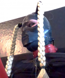 Mary Willows at APClips.com