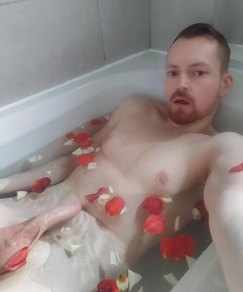 Mauve Eagle contest photo