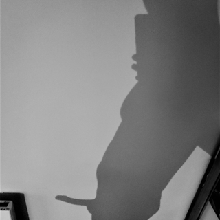 Silhouette Pics photo gallery by Mauve Eagle