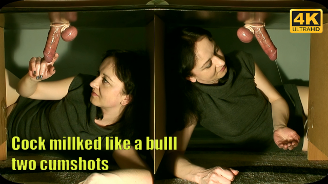 milked like a bull and 2 cumshots video from Maya