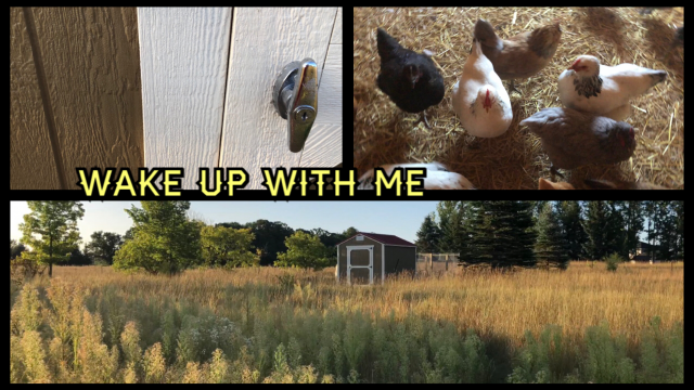 Wake Up With Me video