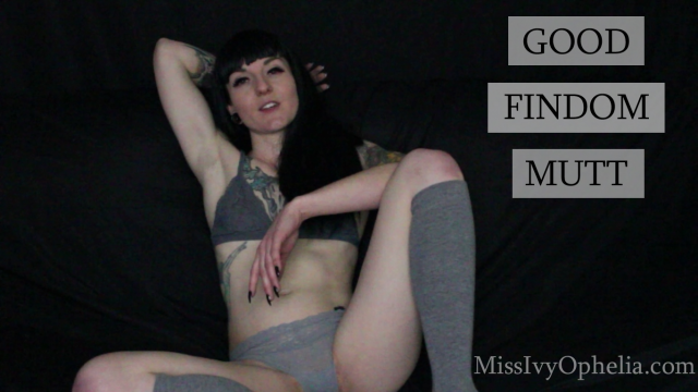 Good Findom Mutt video from Miss Ivy Ophelia