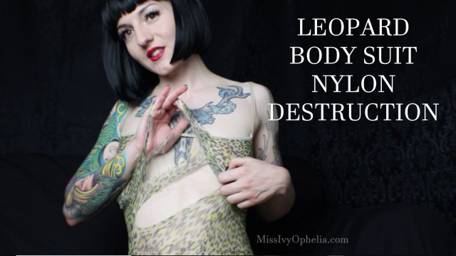 Leopard Body Suit Nylon Destruction video from Miss Ivy Ophelia
