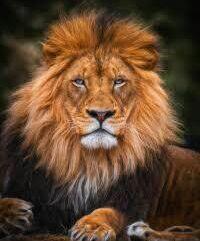 photo of Mr Duracell