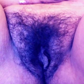 RosebushRosey photo