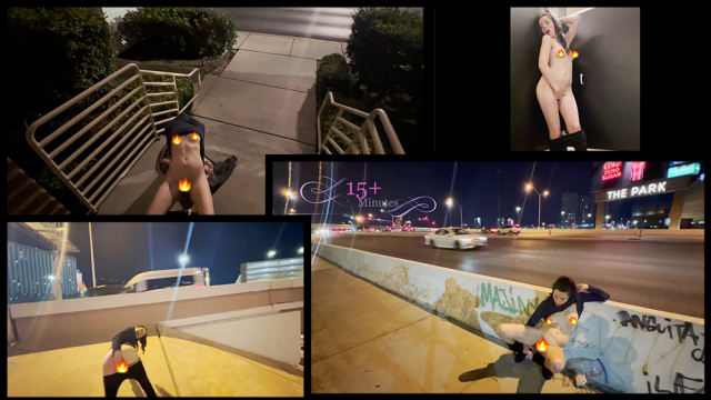 Fucking my slut pussy in public +Bonus Busted in Bathroom! video from Nicole Niagara