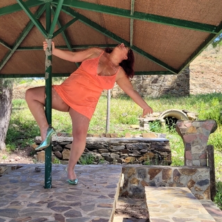 Picnic table pole dance photo gallery by Nikki Holland