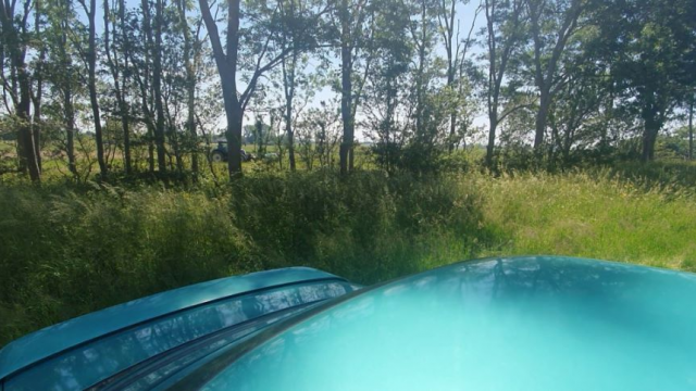 Blowjob POV at public parking spot video from Nikki Holland