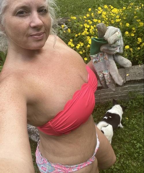 PaintedRose contest photo