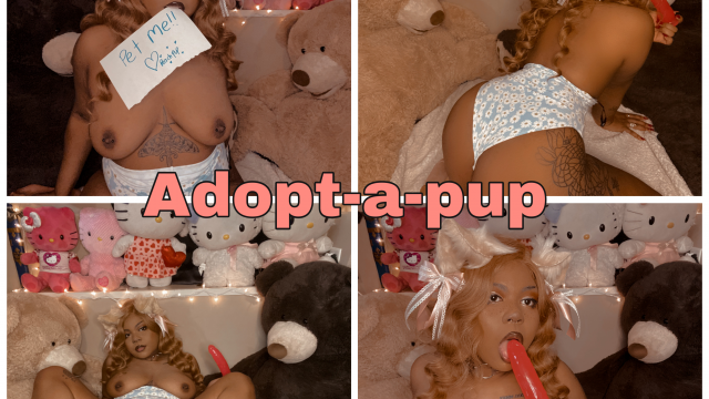 Adopt-a-pup video from Lewdiepeach