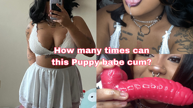 How many times can this puppy babe cum?!? video from Lewdiepeach
