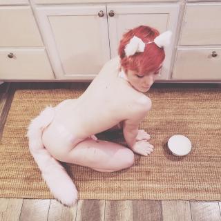 Kitten 'Round The House photo gallery by Lana Bee