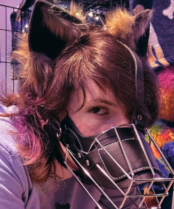 Prplpaws at APClips.com