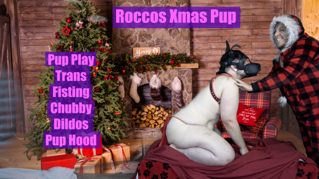 Roccos Xmas Pup video from PurpleDoorTrans