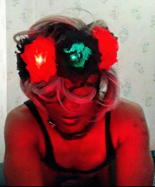 Raul Rex contest photo