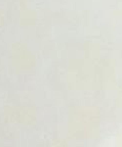 Raul Rex contest photo