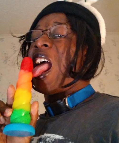 Raul Rex contest photo