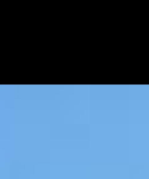 Honey Bunnyta contest photo