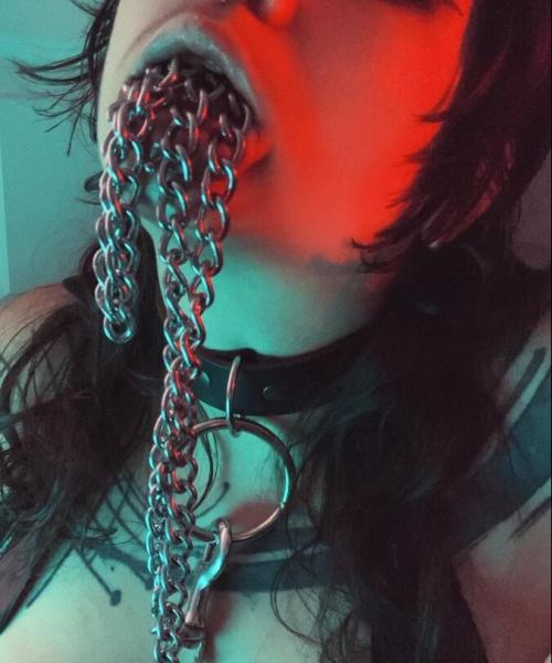 Sanguine contest photo