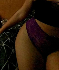 kittylove at APClips.com