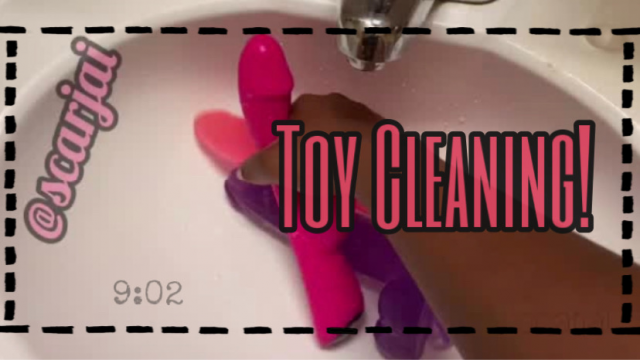 Toy Cleaning! video from Scar J.