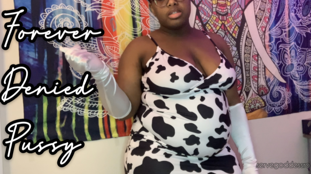Forever Denied Pussy video from Royal Ro
