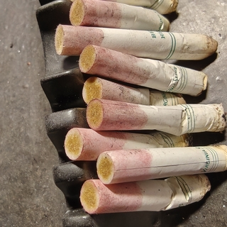 An afternoon's delight photo gallery by Brianna Rose