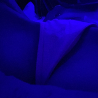 cotton candy photo gallery by Natti Miller