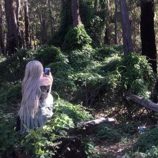 Sweet Lumen photo