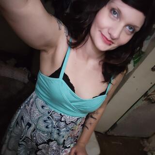 Sxylotus photo