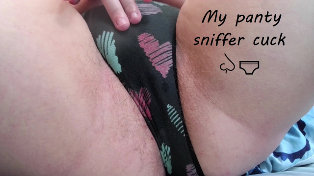 My panty sniffer cuck video from TenTickle Pixie