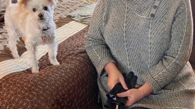 Beyond the Bedroom Door. Leather Galore video from Mistress Rose