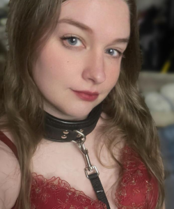 The Lady Nelson at APClips.com