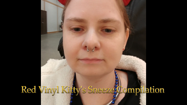 36 Sneeze Compilation video from Red Vinyl Kitty