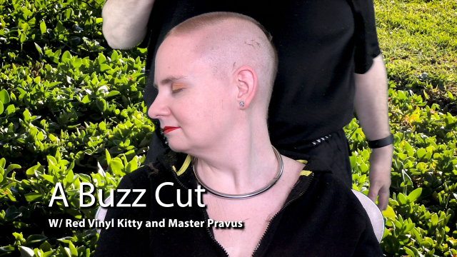 A Buzz Cut video from Red Vinyl Kitty