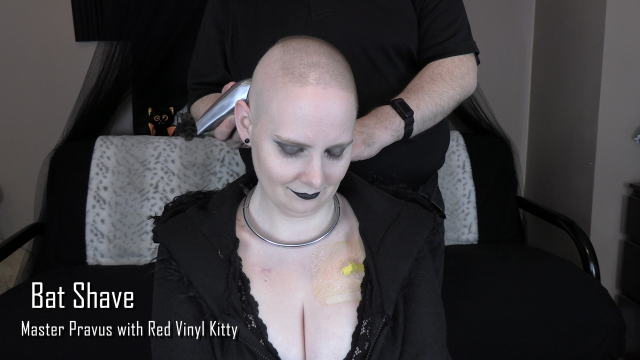 Bat Shave video from Red Vinyl Kitty