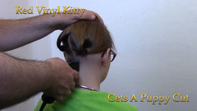 Kitty Gets A Puppy Cut video from Red Vinyl Kitty