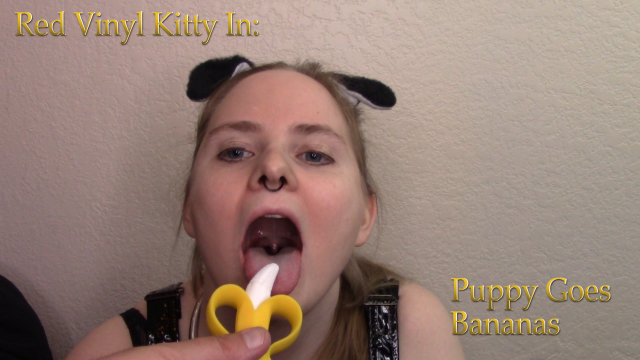 Puppy Goes Bananas video from Red Vinyl Kitty