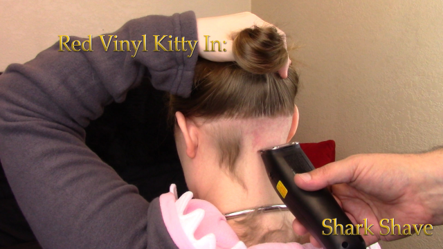 Shark Shave video from Red Vinyl Kitty