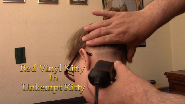 Unkempt Kitty video from Red Vinyl Kitty